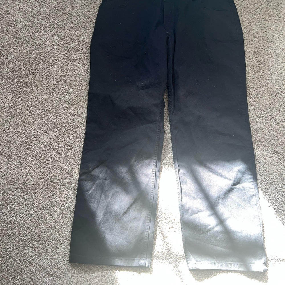 Nwt Carhartt pants